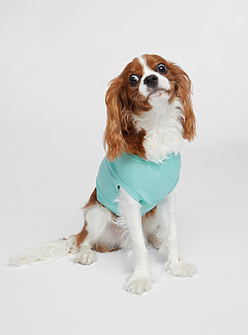 Doggie Baby Rib Tank 1