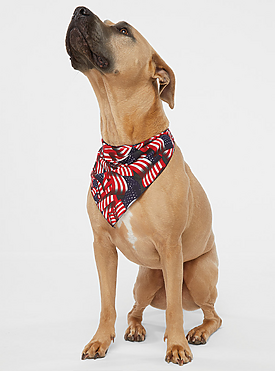 DOGGIE BANDANA 1