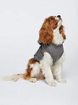 Doggie Pullover Fleece Hoodie 1