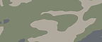 Vintage Camo