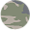 Vintage Camo