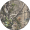 Realtree APG