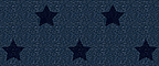 Denim Star