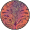 Tie Dye Paisley