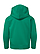 Youth Pullover Fleece Hoodie Kelly Ghosted Back View