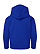 Youth Pullover Fleece Hoodie Royal Ghosted Back View