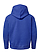 Youth Pullover Fleece Hoodie Vintage Royal Ghosted Back View