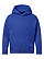 Youth Pullover Fleece Hoodie Vintage Royal Ghosted Front View