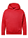 Youth Pullover Fleece Hoodie Vintage Red Ghosted Front View