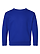Toddler Fleece Sweatshirt Royal Ghosted Front View