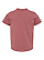 Toddler Fine Jersey T-Shirt Rouge Ghosted Back View