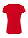 Women's Fine Jersey T-Shirt Red Ghosted Back View