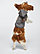 Doggie Pullover Fleece Hoodie 1 BACK