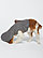 Doggie Pullover Fleece Hoodie 1 SIDE