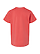 Youth Fine Jersey T-Shirt Passionfruit Ghosted Back View