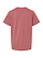 Youth Fine Jersey T-Shirt Rouge Ghosted Back View