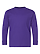 Youth Long Slv Jersey Shirt Purple Ghosted Front View