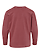 Youth Long Slv Jersey Shirt Rouge Ghosted Back View
