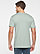 Eco-Friendly CVC T-Shirt 1 BACK