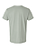 Eco-Friendly CVC T-Shirt Eucalyptus Ghosted Back View