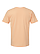Unisex Fine Jersey T-Shirt Peachy Ghosted Back View