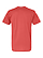 Unisex Fine Jersey T-Shirt Passionfruit Ghosted Back View
