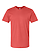 Unisex Fine Jersey T-Shirt Passionfruit Ghosted Front View