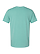 Unisex Vintage Wash T-Shirt Washed Saltwater Ghosted Back View