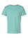 Unisex Vintage Wash T-Shirt Washed Saltwater Ghosted Front View