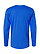 Long Sleeve Fine Jersey Shirt Royal Ghosted Back View