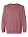 Unisex Vintage Wash Sweatshirt Washed Rouge Ghosted Front View