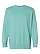 Unisex Vintage Wash Sweatshirt Washed Saltwater Ghosted Front View